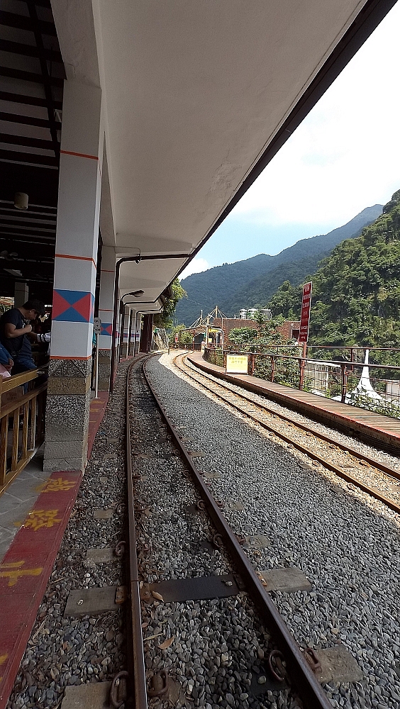 烏來雲仙輕旅遊