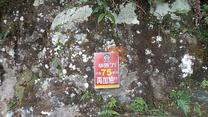 烏來雲仙輕旅遊
