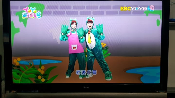 請益各位高手大大 VIZIO VF551XVT 的問題~感謝!!