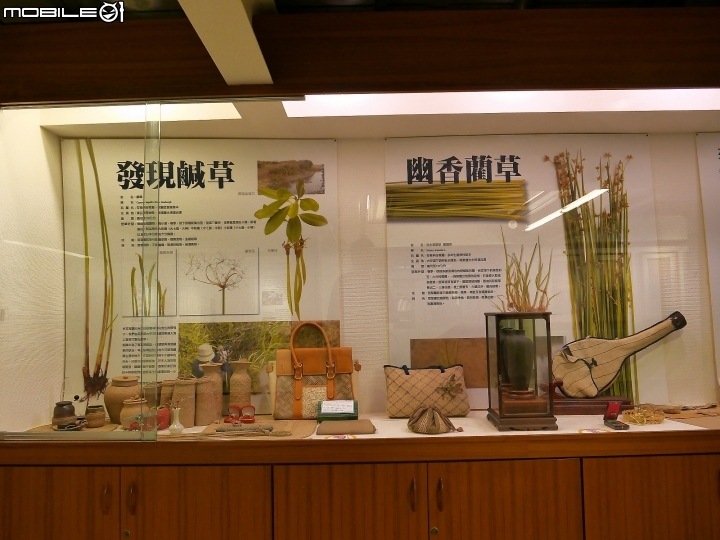 苗栗 苑裡 稻田彩繪與藺草文化館 -- 2018年版稻田彩繪在草帽的故鄉
