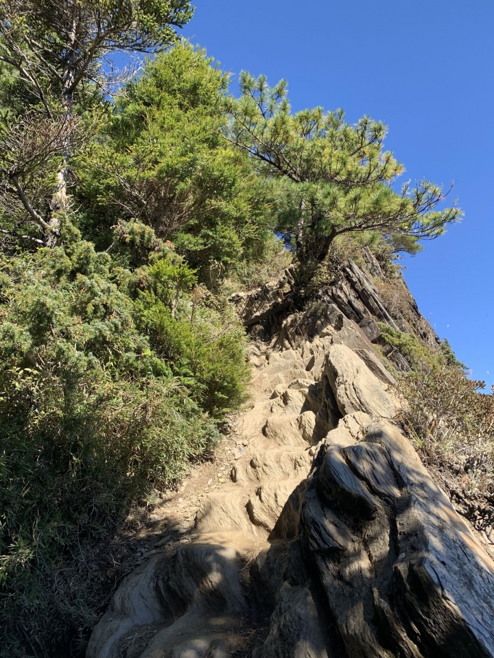iphoneXS 相機照片測試 合歡山（圖多）