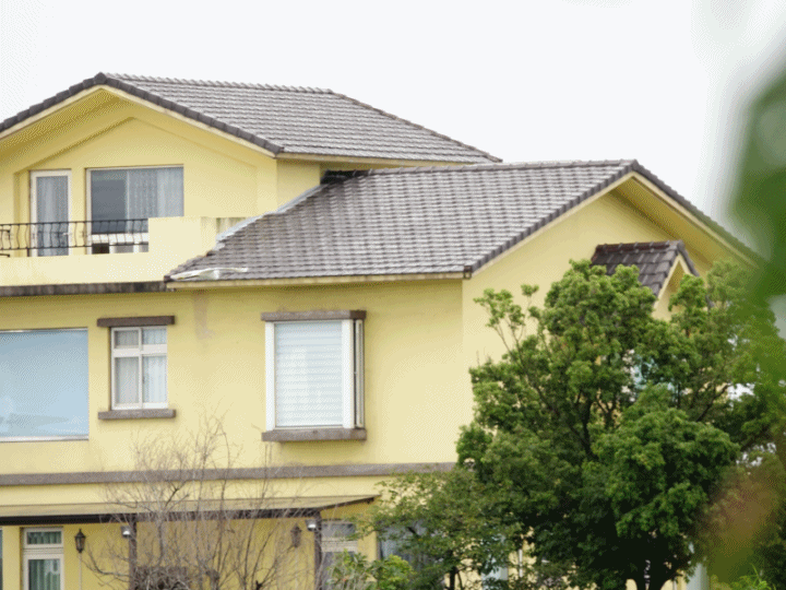 SONY R10IV — 讓專業攝影簡單走入生活 —《SonyRX10IV飛羽攝影大賽》試用活動心得分享