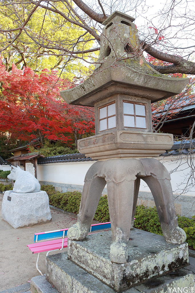 【山口】防府天滿宮、毛利氏庭園散策賞紅葉