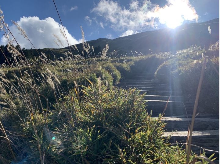 iphoneXS 相機照片測試 合歡山（圖多）