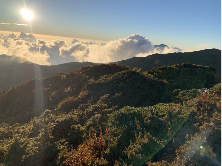 iphoneXS 相機照片測試 合歡山（圖多）