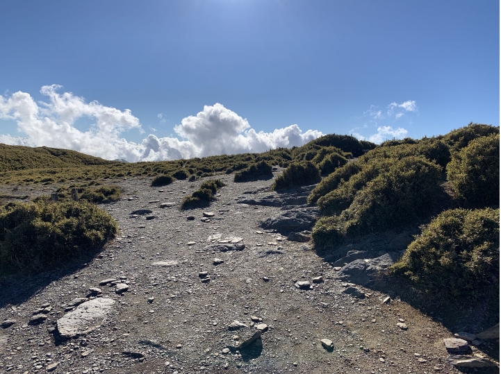 iphoneXS 相機照片測試 合歡山（圖多）