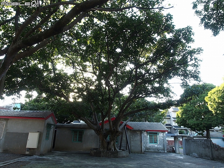 桃園 中壢 馬祖新村眷村文創園區 — 美式鄉村風與眷村風情交融的故事