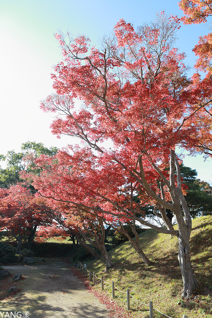 【山口】防府天滿宮、毛利氏庭園散策賞紅葉