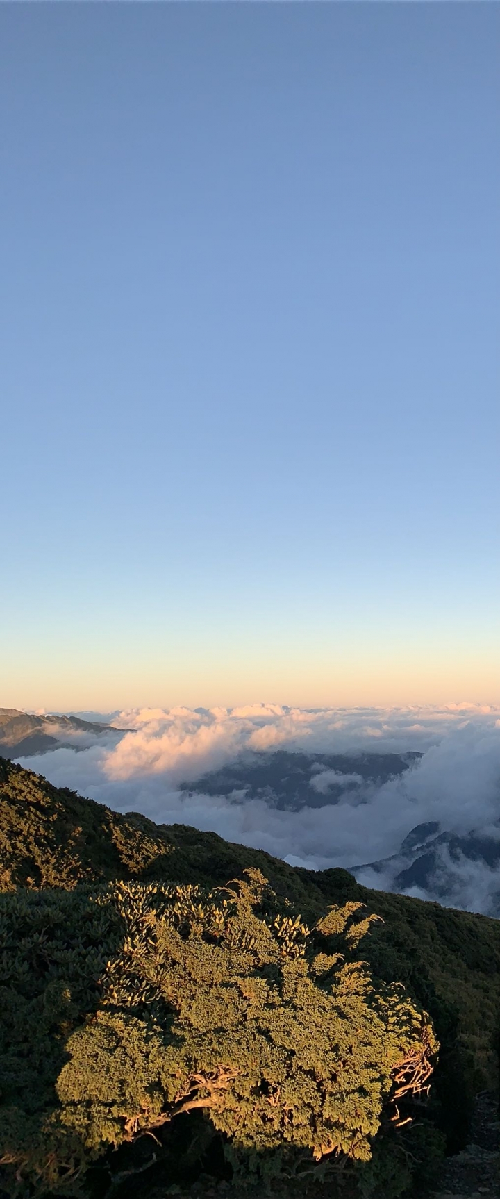 iphoneXS 相機照片測試 合歡山（圖多）