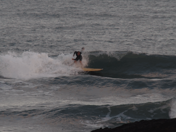 SONY R10IV — 讓專業攝影簡單走入生活 —《SonyRX10IV飛羽攝影大賽》試用活動心得分享