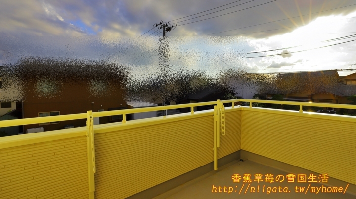[開箱] 在日本的房子 該取叫什麼風格的小屋我也不知道@@