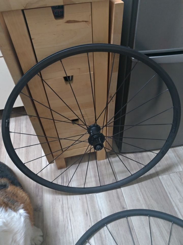 (輪組開箱)DT SWISS PR1400 DICUT OXIC