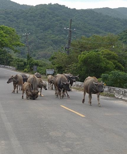 2018機車環島之旅，人生第一個夢想之旅 Day2 (文長/圖多/慎入)