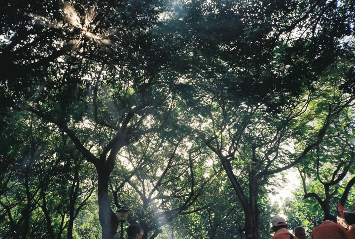 東勝利號 KonicaBigMini Kodak200 圖少