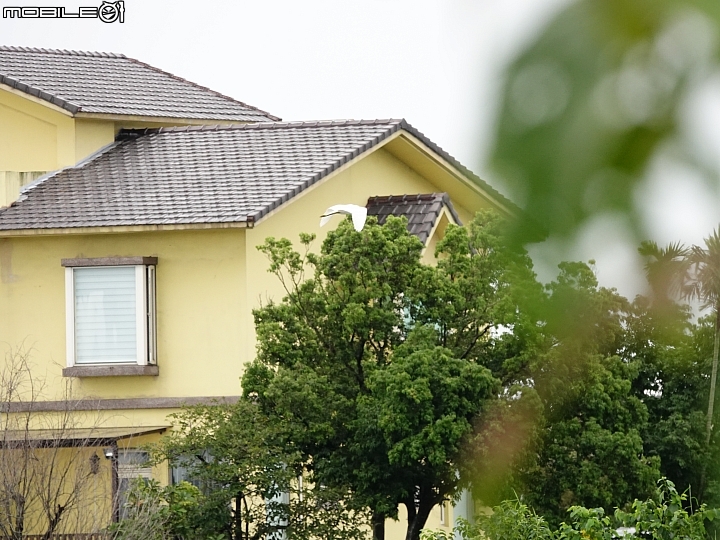 SONY R10IV — 讓專業攝影簡單走入生活 —《SonyRX10IV飛羽攝影大賽》試用活動心得分享