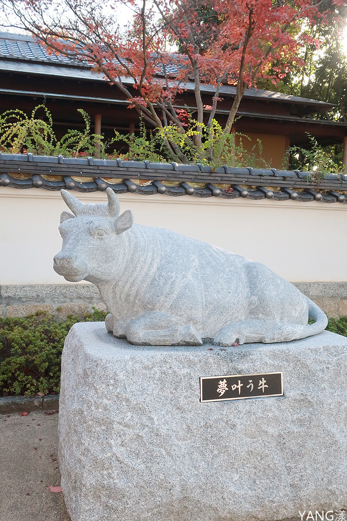 【山口】防府天滿宮、毛利氏庭園散策賞紅葉