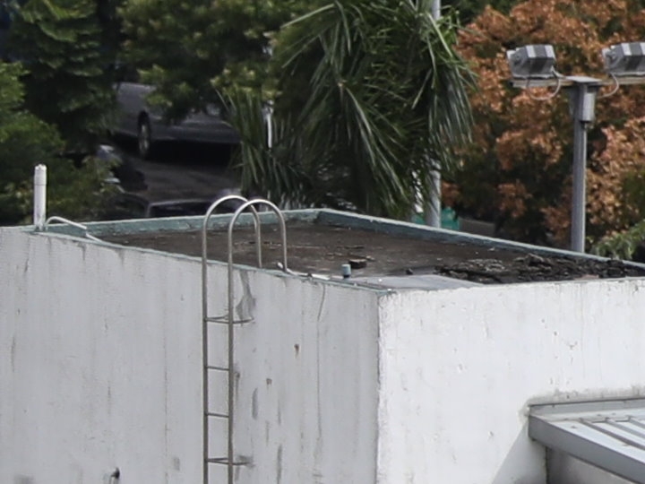 Canon EF 70-200mm f/2.8L IS III USM 評測報告｜ASC 鍍膜加持超有感 整體戰力更全面！