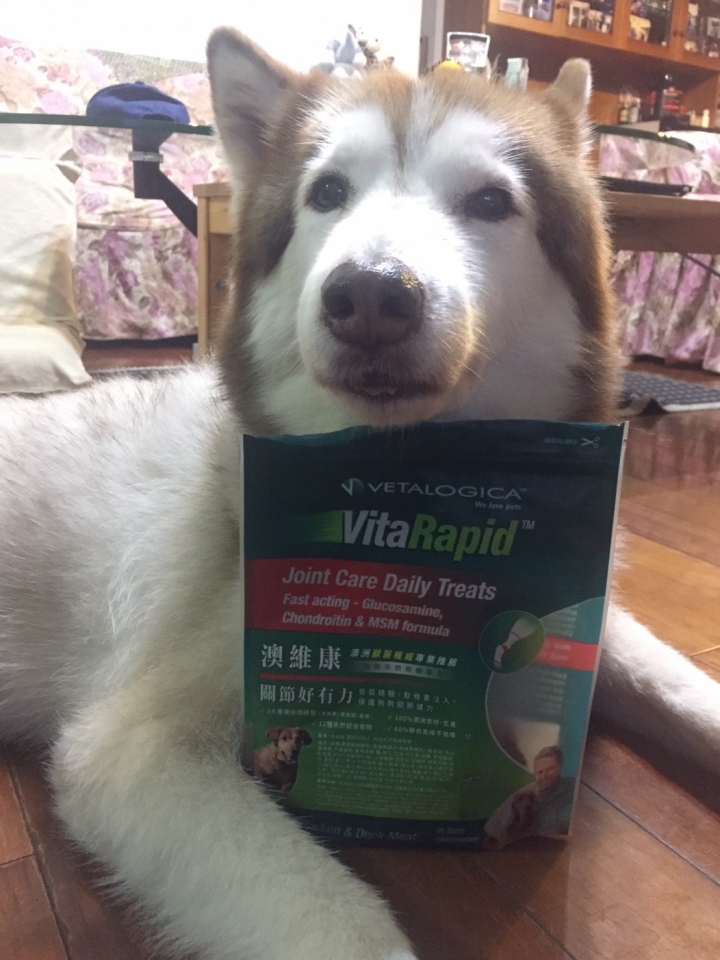 【分享】好吃的狗狗保健品