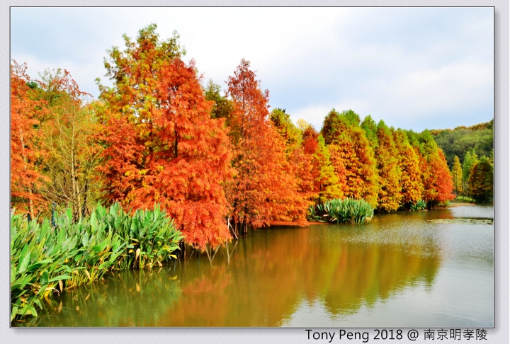 陸版mate 20 pro 斐冷翠簡單開箱