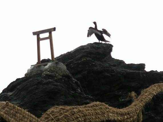 度假感十足的日本志摩半島珍珠．雙泊阿曼瑰寶五日遊
