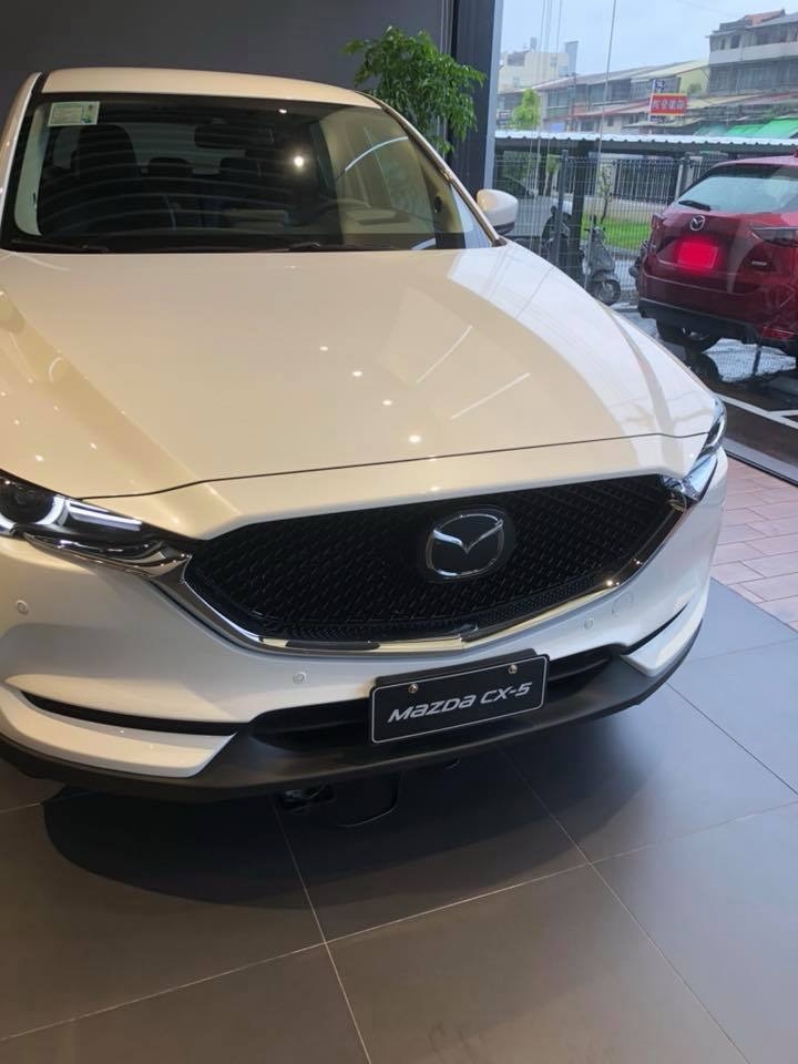 本魯歷經11種廠牌14種款式的賞車及買車之旅