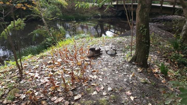 😭再見了各位！之膀胱男孩遊九州●