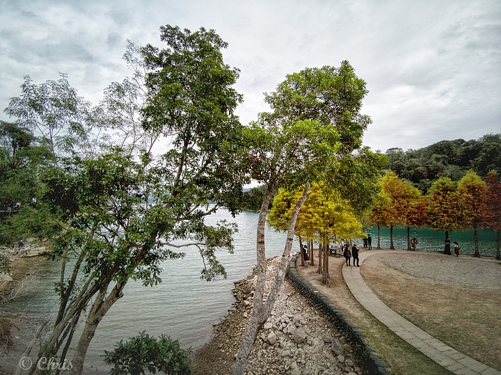 M20P 拍照與心得