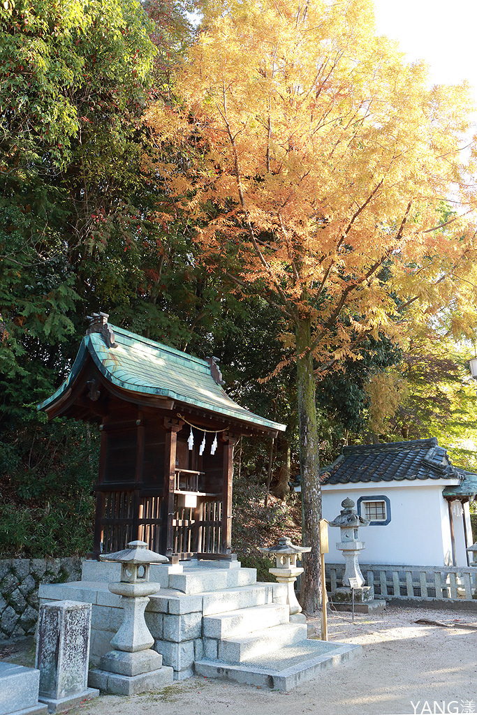 【山口】防府天滿宮、毛利氏庭園散策賞紅葉