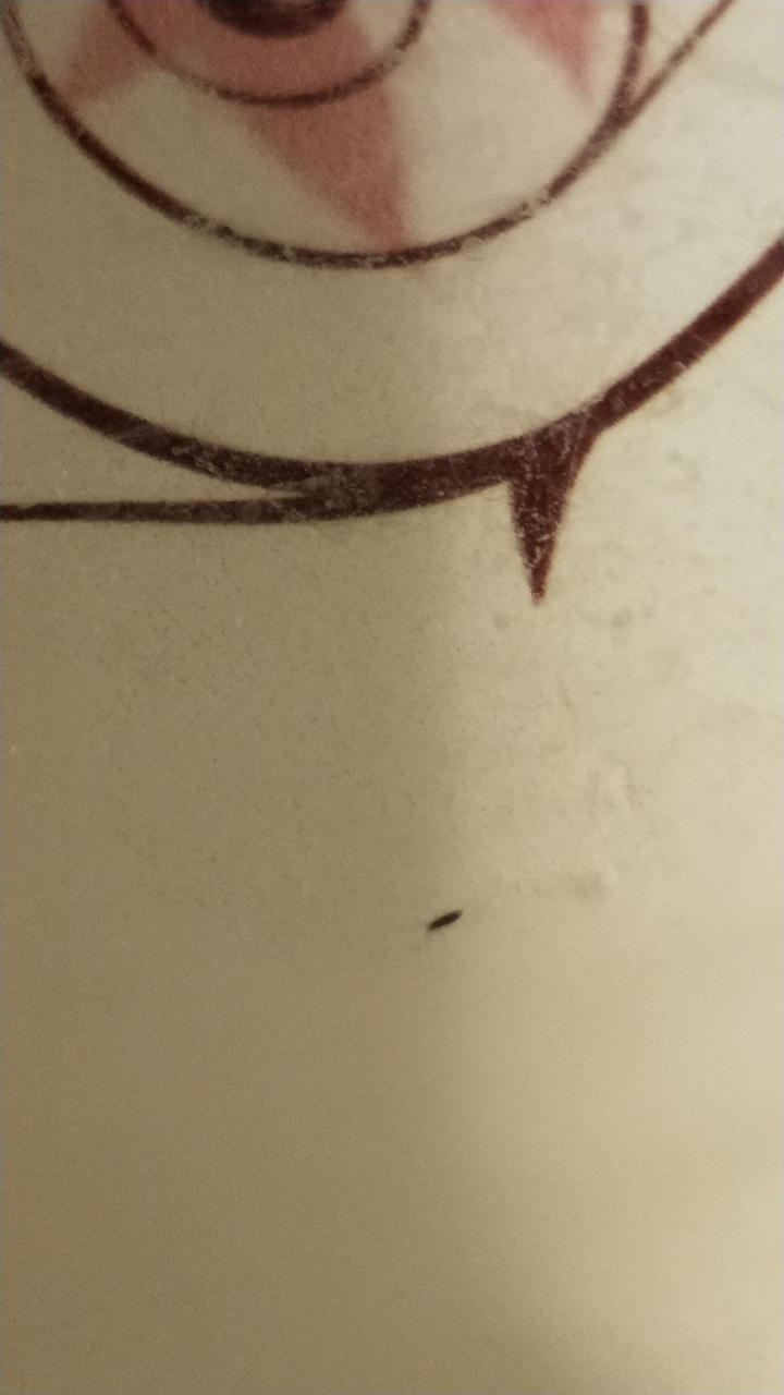 居家小蟲(附照片)，誰幫鑑定叫什麼？如何銷滅?