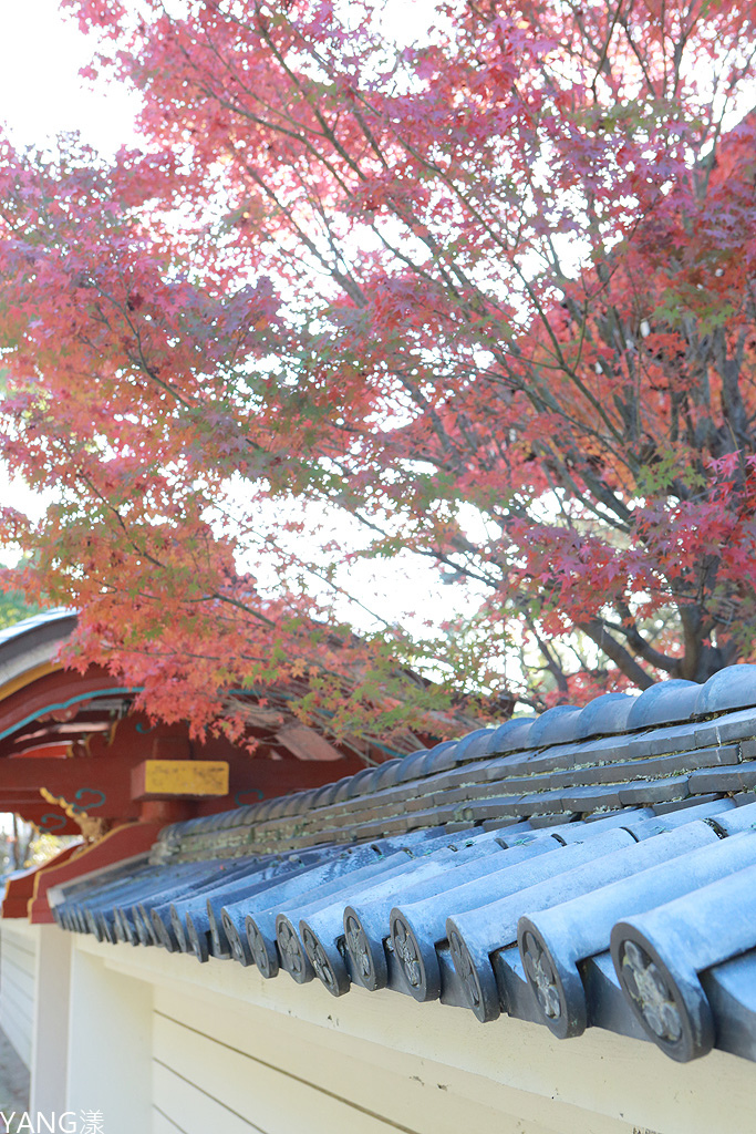 【山口】防府天滿宮、毛利氏庭園散策賞紅葉