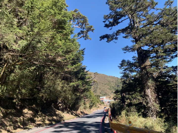 iphoneXS 相機照片測試 合歡山（圖多）