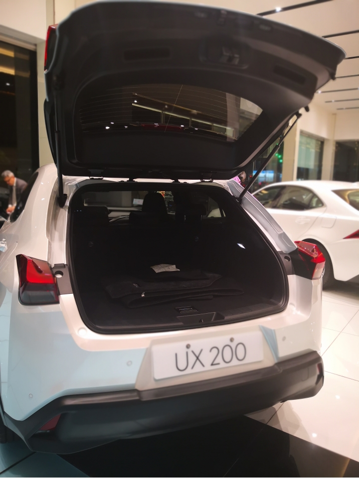 Lexus UX200 賞車心德分享