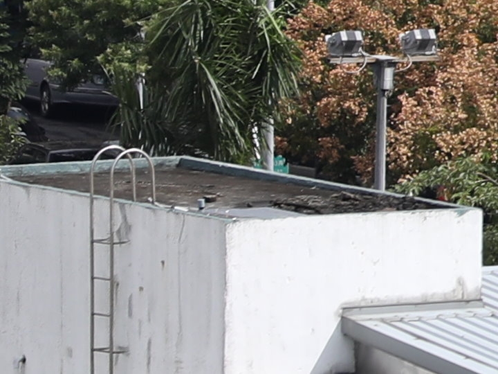 Canon EF 70-200mm f/2.8L IS III USM 評測報告｜ASC 鍍膜加持超有感 整體戰力更全面！
