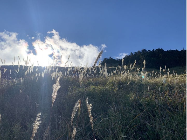 iphoneXS 相機照片測試 合歡山（圖多）