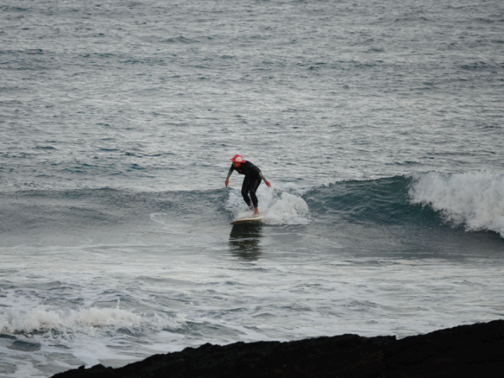 SONY R10IV — 讓專業攝影簡單走入生活 —《SonyRX10IV飛羽攝影大賽》試用活動心得分享