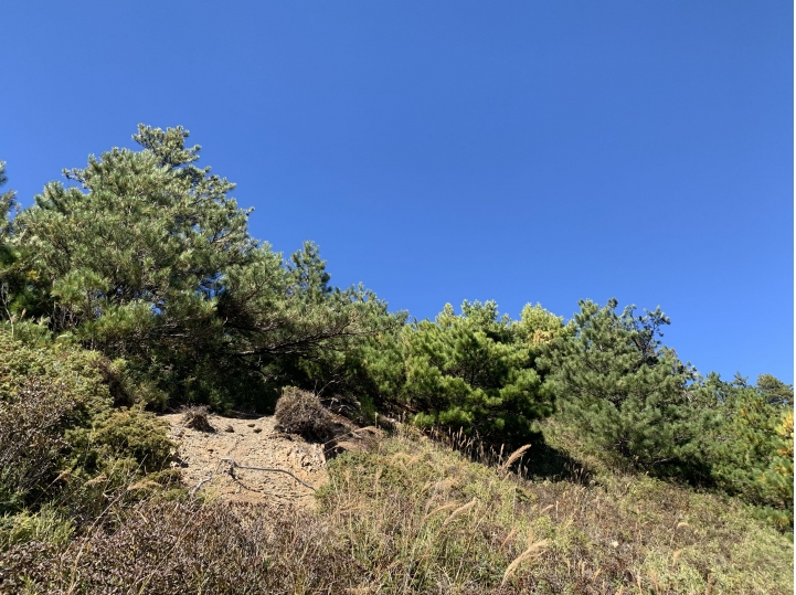 iphoneXS 相機照片測試 合歡山（圖多）
