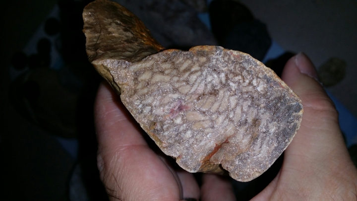 請問這是木化石嗎？