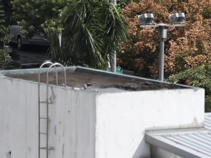 Canon EF 70-200mm f/2.8L IS III USM 評測報告｜ASC 鍍膜加持超有感 整體戰力更全面！