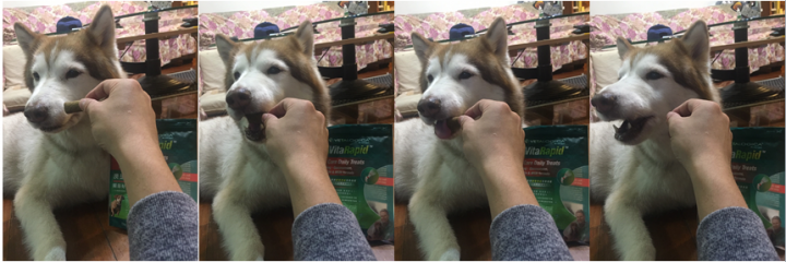 點我看大圖 【分享】好吃的狗狗保健品