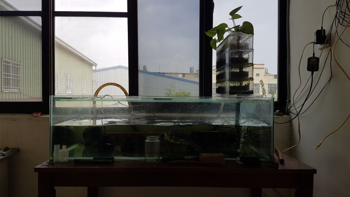 這是……蚯蚓對吧？