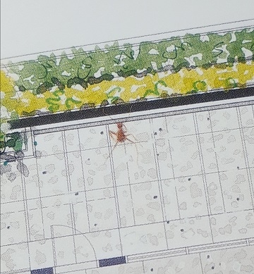 點我看大圖