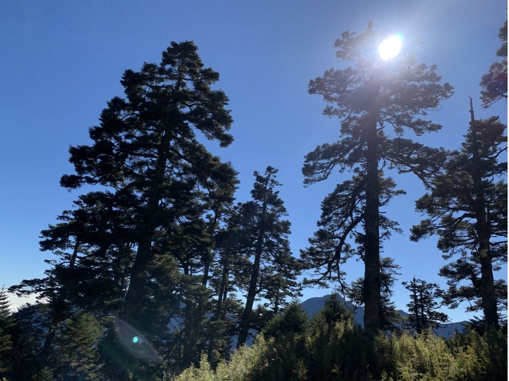 iphoneXS 相機照片測試 合歡山（圖多）