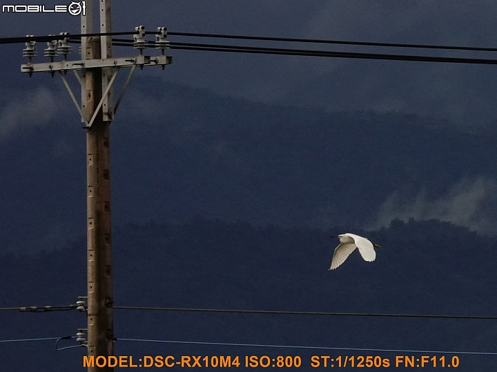 SONY R10IV — 讓專業攝影簡單走入生活 —《SonyRX10IV飛羽攝影大賽》試用活動心得分享