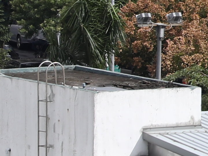 Canon EF 70-200mm f/2.8L IS III USM 評測報告｜ASC 鍍膜加持超有感 整體戰力更全面！