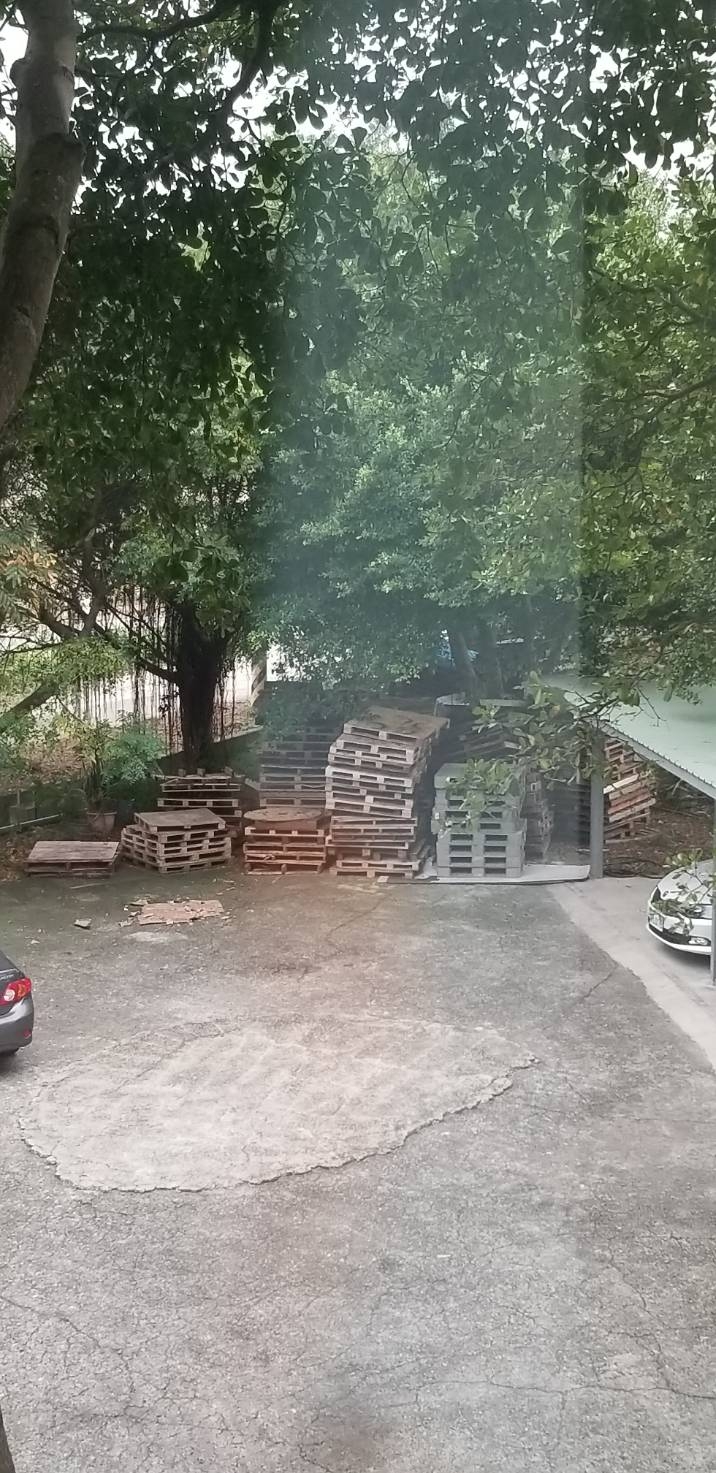 桃園 蘆竹 (近南崁交流道) 免費木棧板 贈送