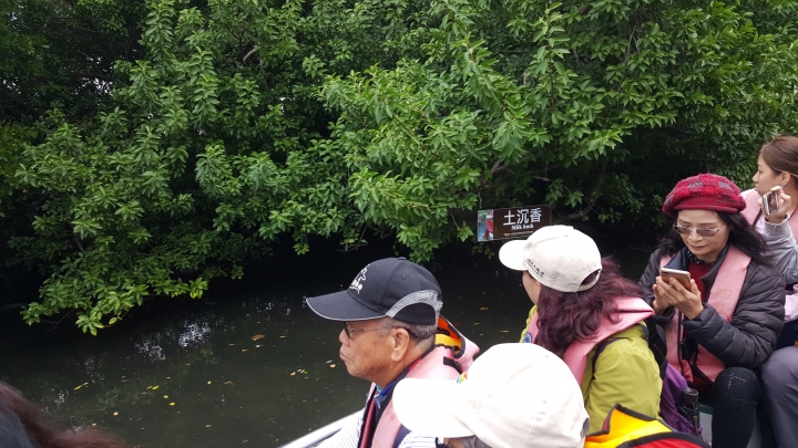 探險台版亞馬遜河