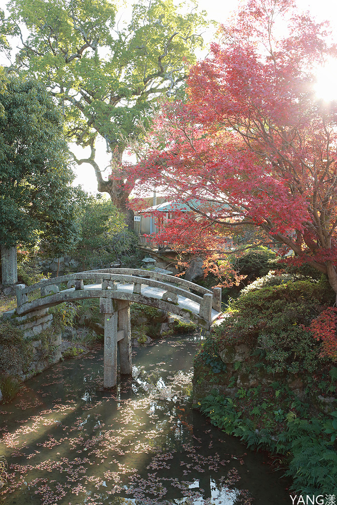 【山口】防府天滿宮、毛利氏庭園散策賞紅葉