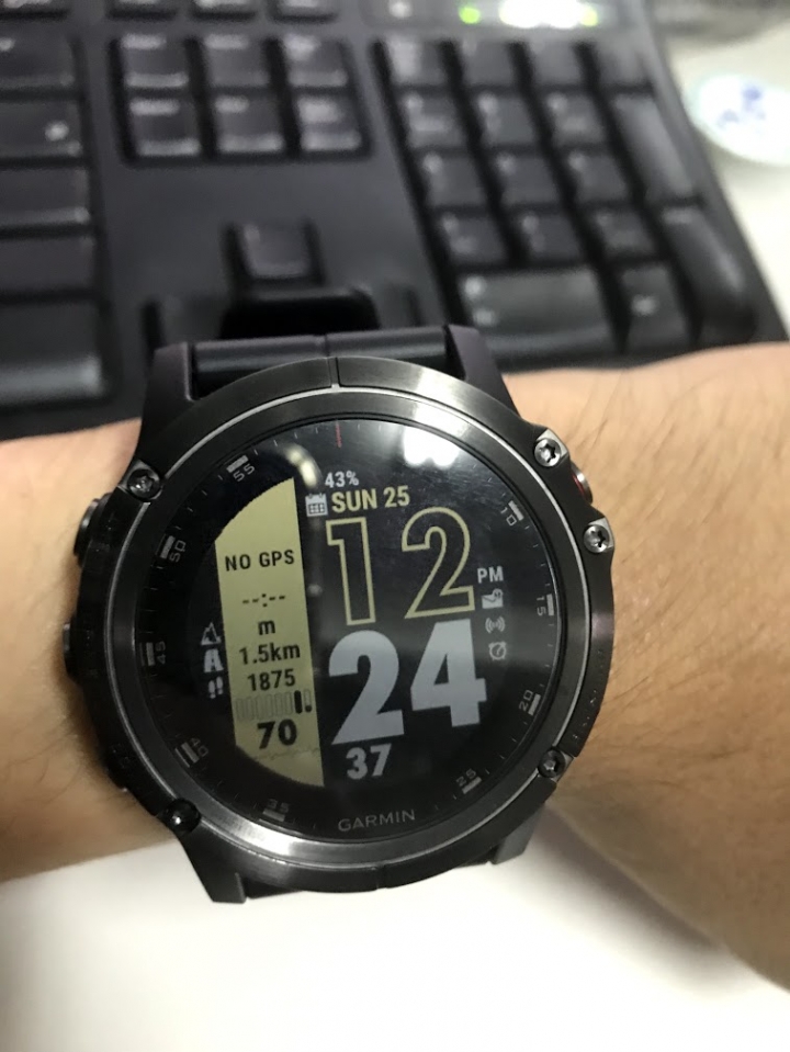 Garmin fenix 5X Plus 的 SC9 錶面請教
