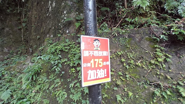 烏來雲仙輕旅遊