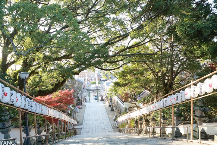 【山口】防府天滿宮、毛利氏庭園散策賞紅葉